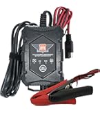 Amazon | デイトナ ハイパフォーマンス バッテリー DYTX20HL-BS